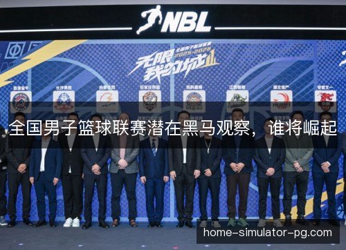 全国男子篮球联赛潜在黑马观察，谁将崛起